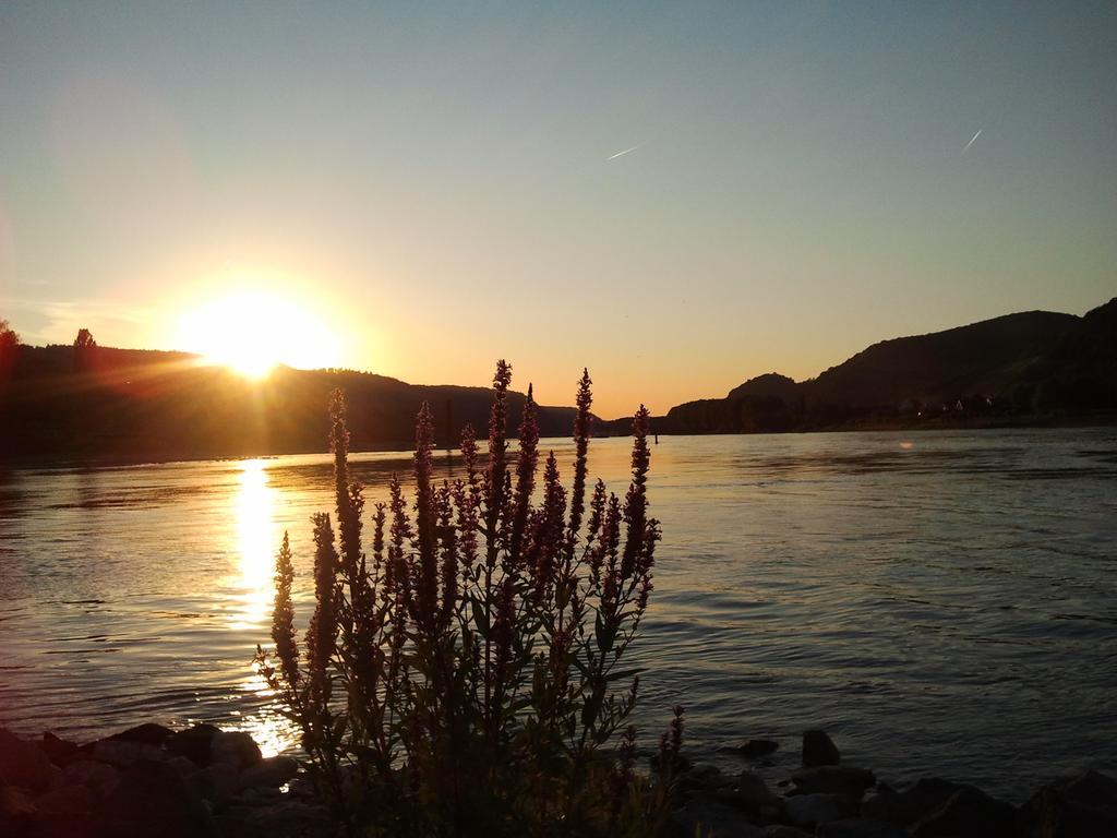 Fe Wo Am Alten Rathaus Andernach Quarto foto